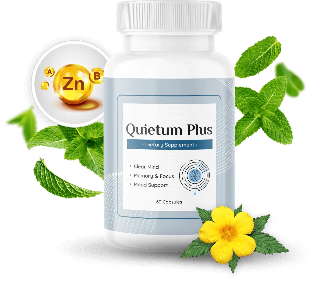 Home quietum plus